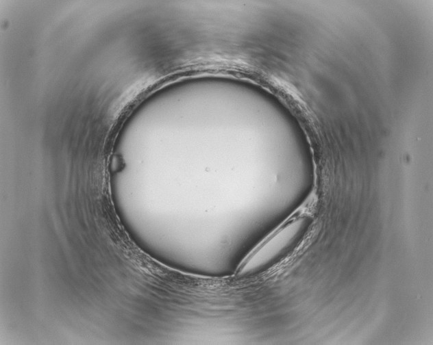 X0000086951267200705071434