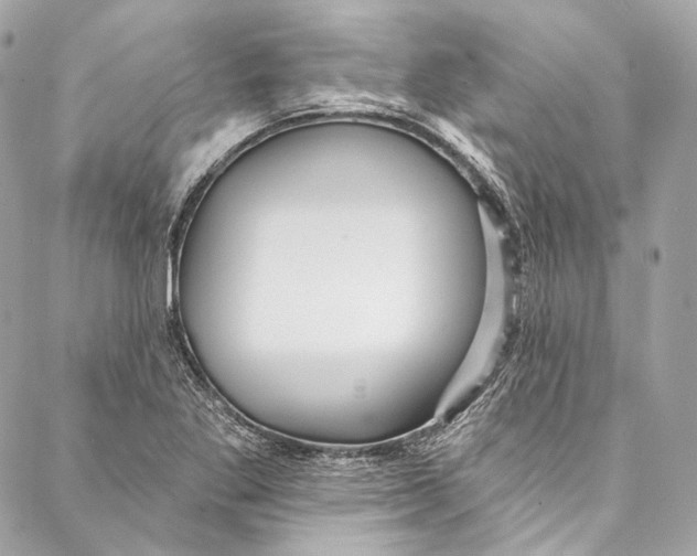 X0000086951269200705071434