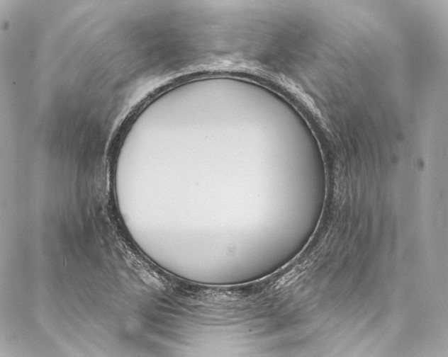 X0000086951270200705071434