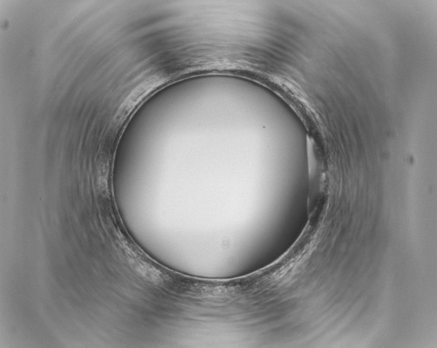 X0000086951273200705071434