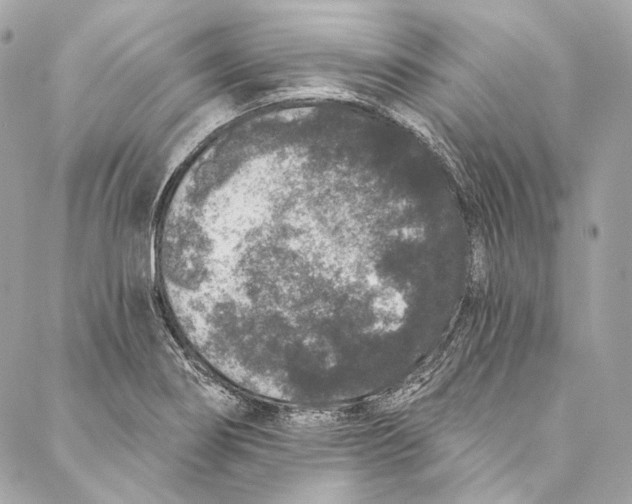 X0000086951274200705071434