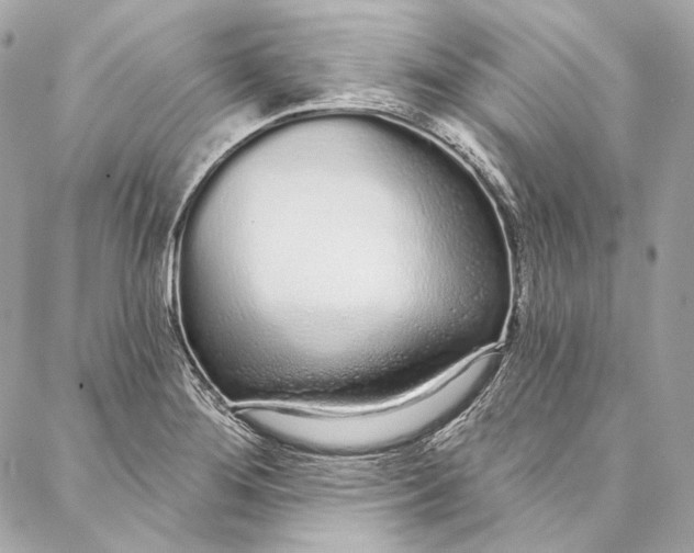 X0000086951276200705071434