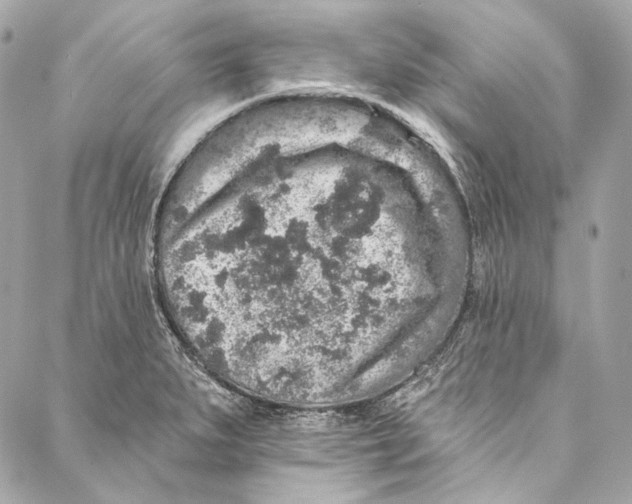 X0000086951279200705071434