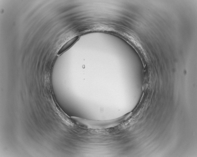 X0000086951281200705071434