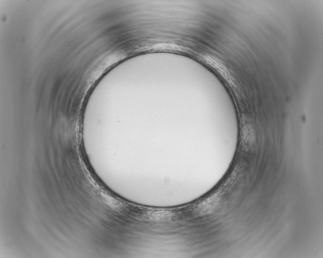 X0000086951282200705071434