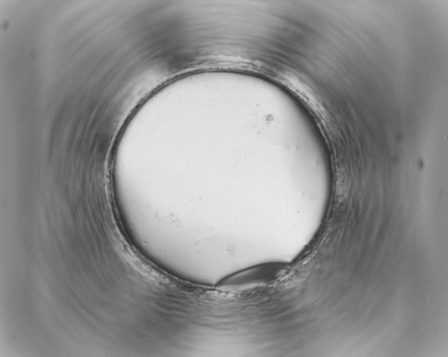 X0000086951283200705071434