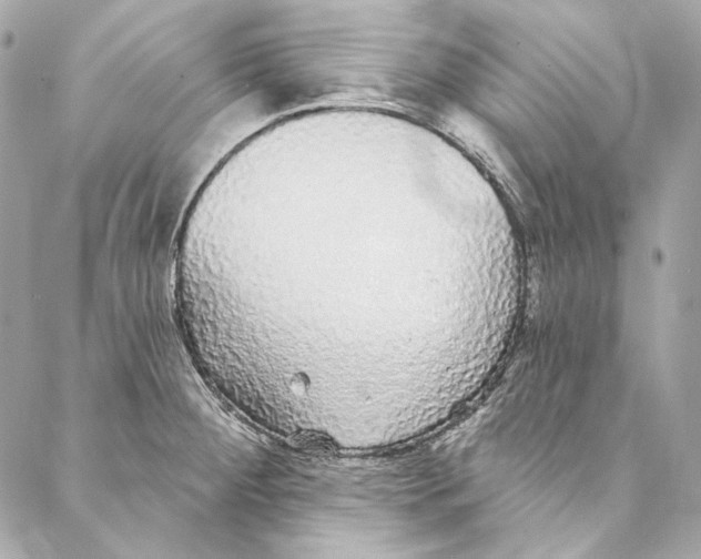 X0000086951284200705071434