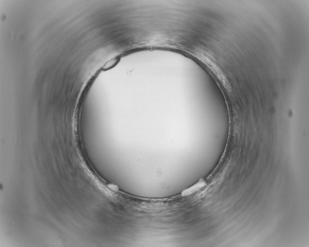 X0000086951285200705071434