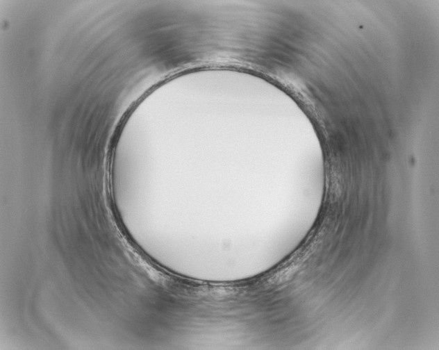 X0000086951286200705071434