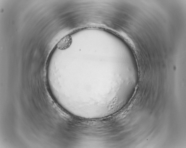 X0000086951287200705071434