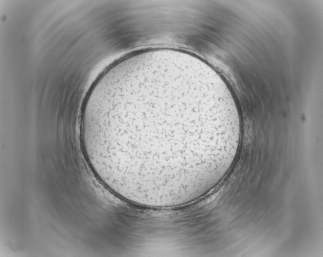 X0000086951288200705071434