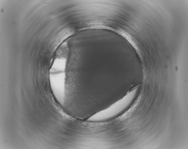 X0000086951289200705071434