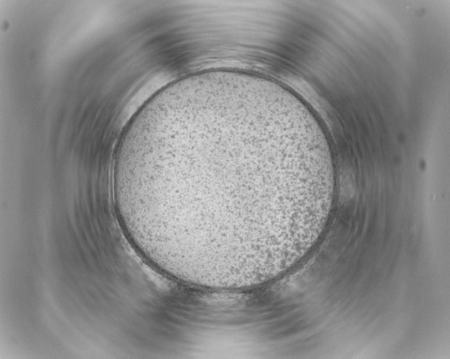 X0000086951290200705071434