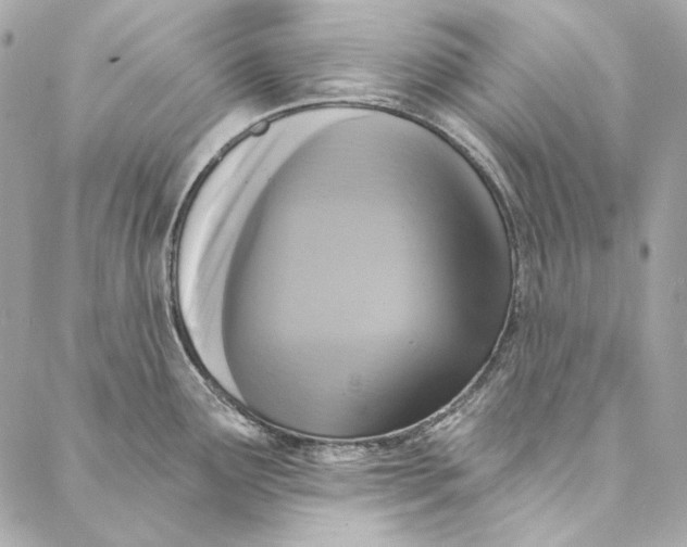 X0000086951291200705071434