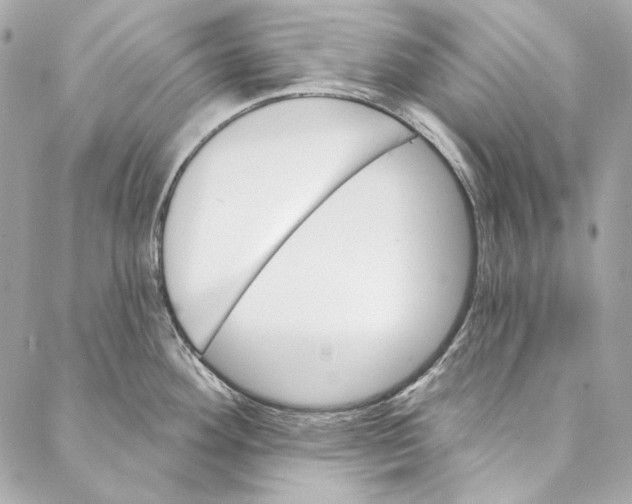 X0000086951292200705071434