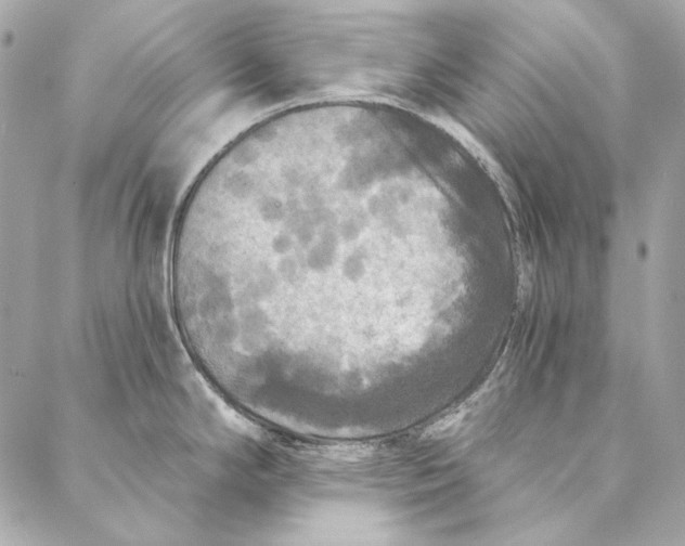 X0000086951294200705071434