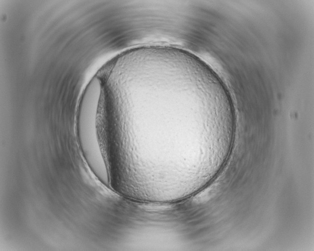 X0000086951296200705071434