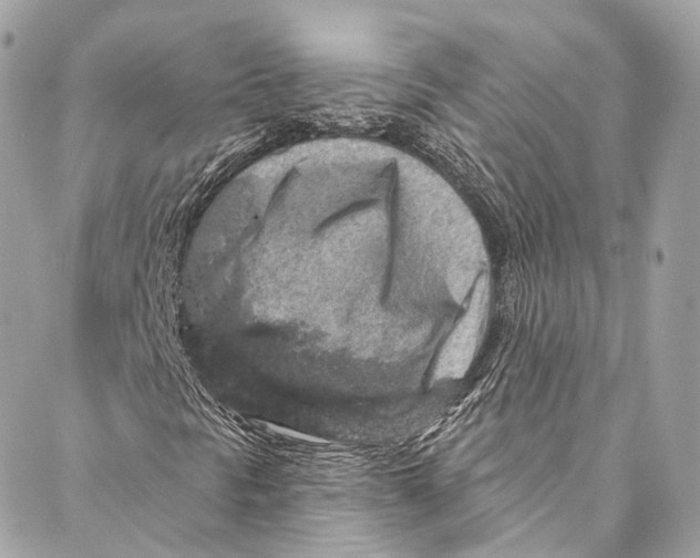 X0000086951297200705071433