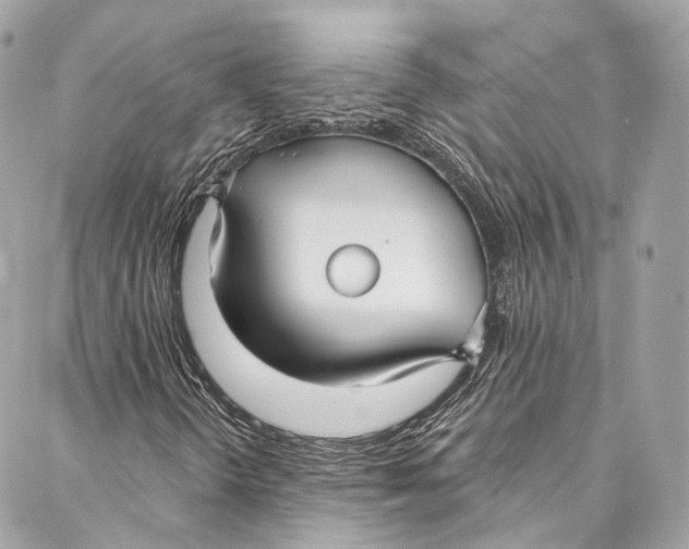 X0000086951298200705071433