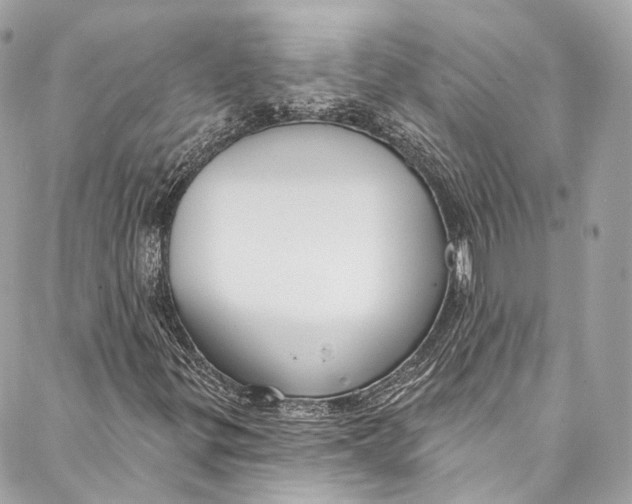 X0000086951299200705071433