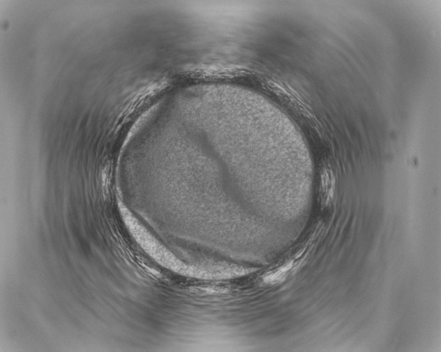 X0000086951300200705071433