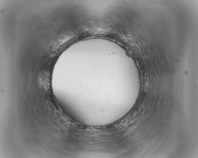 X0000086951301200705071433