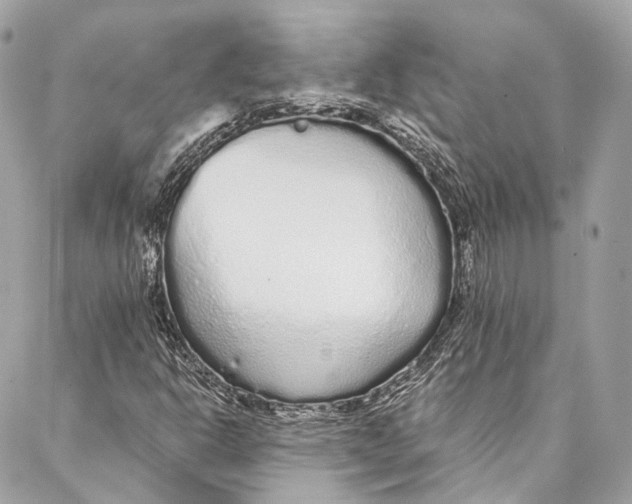 X0000086951302200705071433