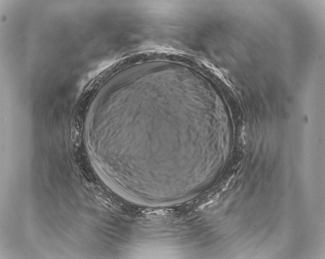 X0000086951303200705071433