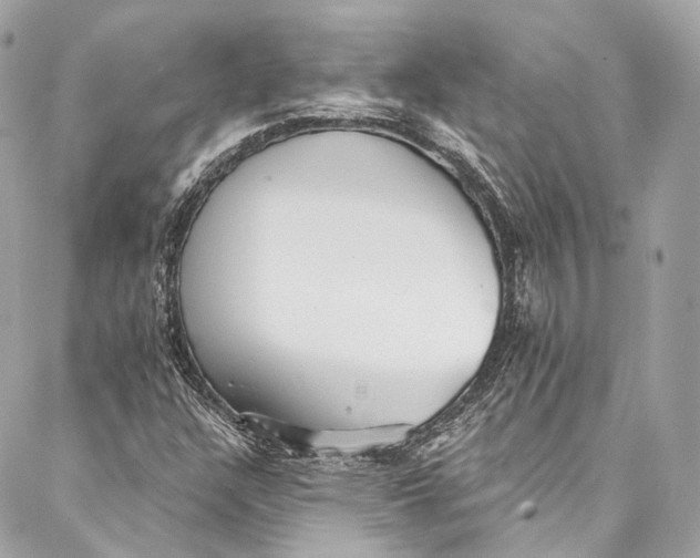 X0000086951304200705071433