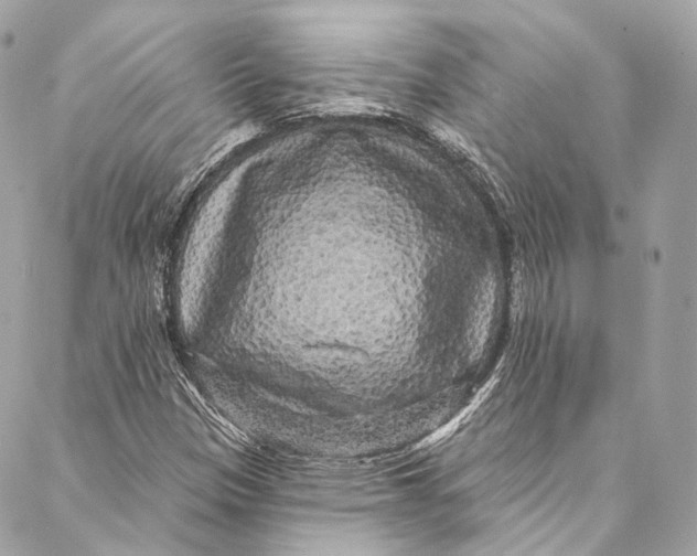 X0000086951305200705071433