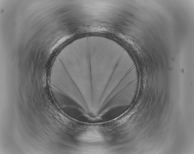 X0000086951306200705071433