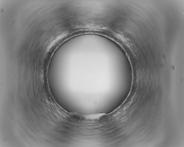 X0000086951307200705071433