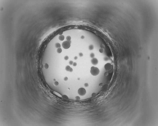 X0000086951311200705071433