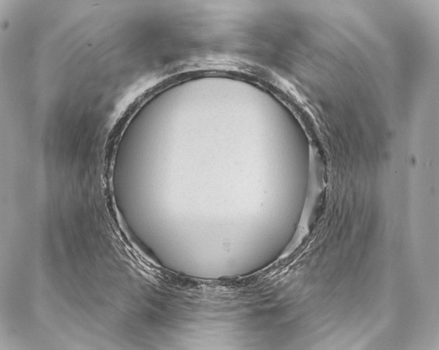 X0000086951312200705071433