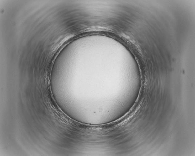 X0000086951313200705071433