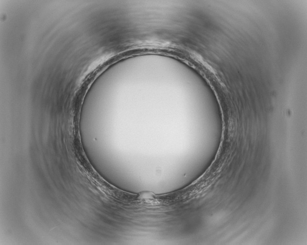 X0000086951315200705071433