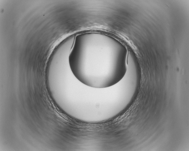 X0000086951316200705071433