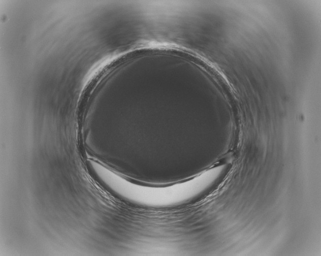 X0000086951319200705071433