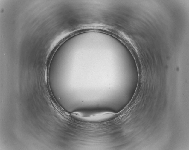 X0000086951320200705071433