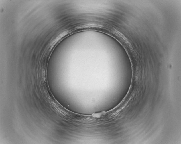 X0000086951321200705071433