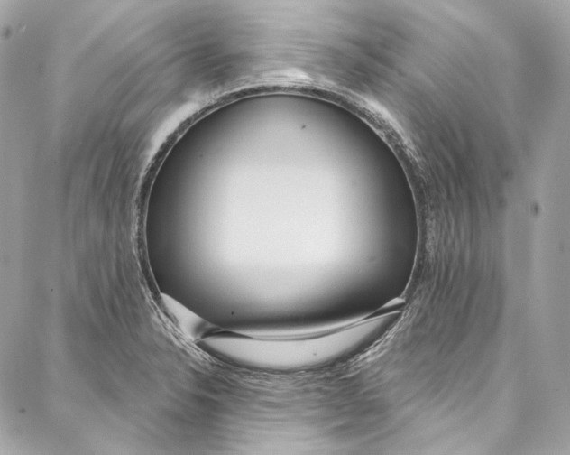 X0000086951326200705071433