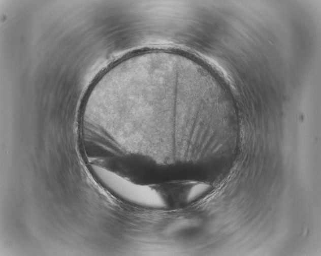 X0000086951327200705071433