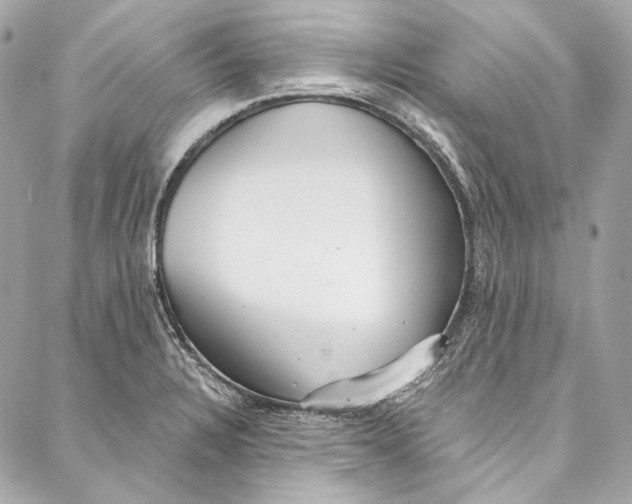 X0000086951328200705071433