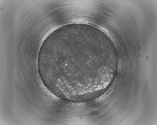 X0000086951331200705071433