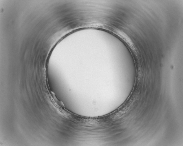 X0000086951332200705071433