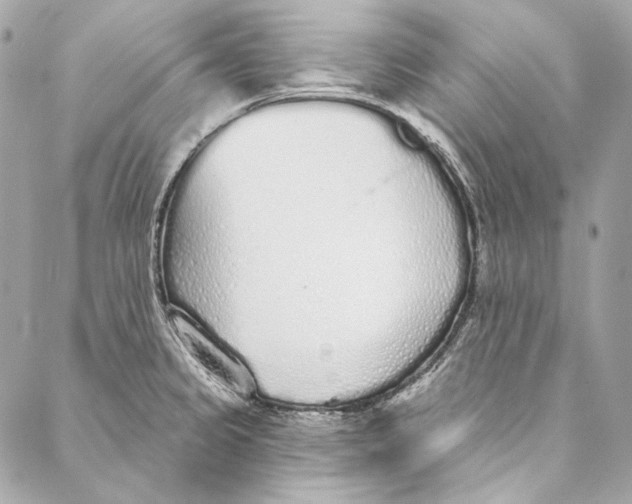 X0000086951333200705071433