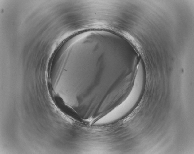 X0000086951334200705071433