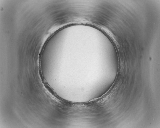 X0000086951335200705071433