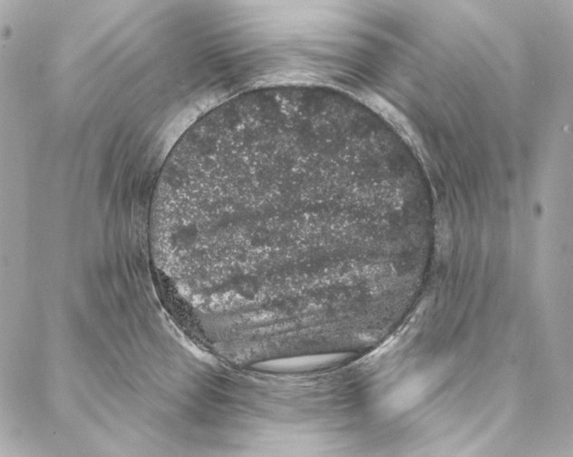 X0000086951337200705071433