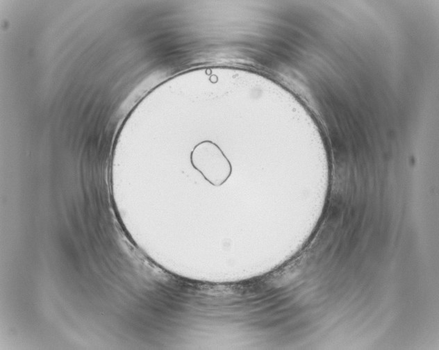 X0000086951338200705071433